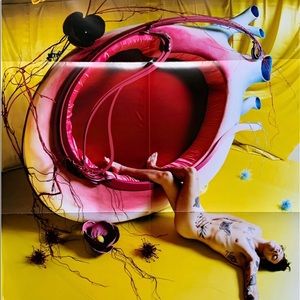 AUTHENTIC Harry Styles poster from Fine Line album